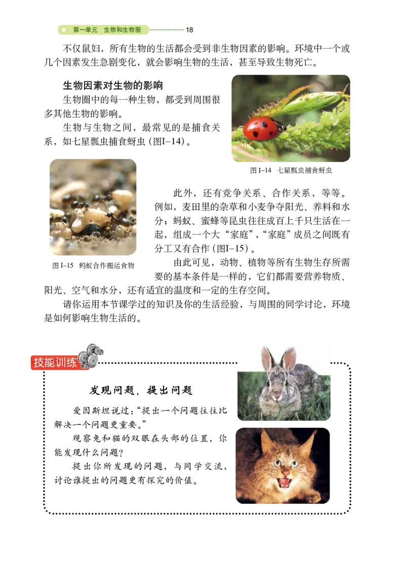 鲁教版6年级生物上册高清教材_4-教培资料-26年最新资料-同步更新_初中高中教资_03科三专项（进去保存报考的学科即可）_02科三专项（笔记真题思维导图教学设计版本二）