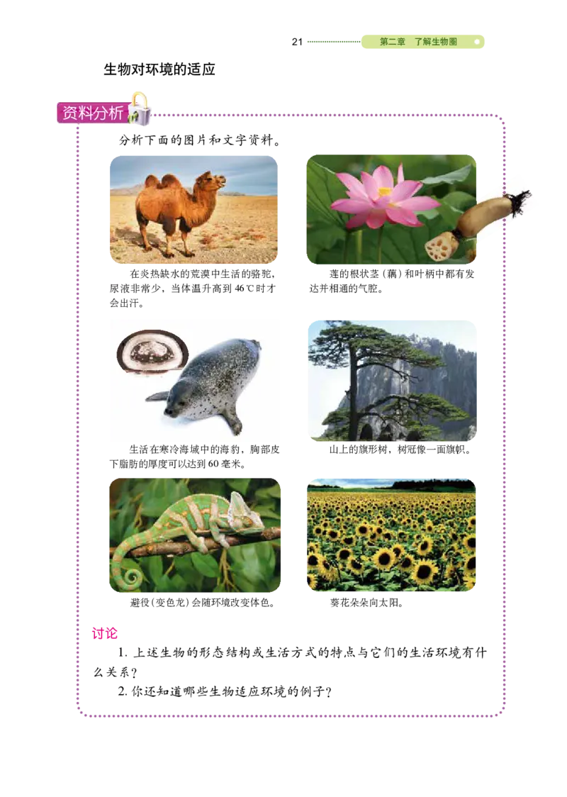 鲁教版6年级生物上册高清教材_4-教培资料-26年最新资料-同步更新_初中高中教资_03科三专项（进去保存报考的学科即可）_02科三专项（笔记真题思维导图教学设计版本二）