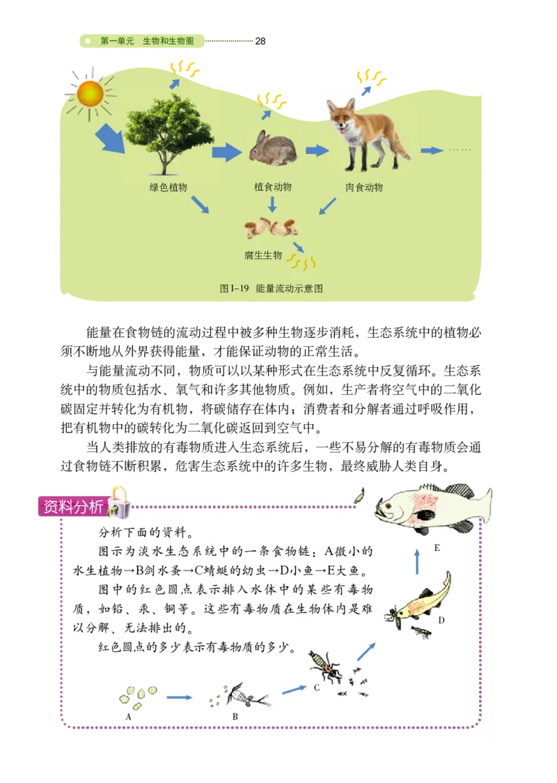 鲁教版6年级生物上册高清教材_4-教培资料-26年最新资料-同步更新_初中高中教资_03科三专项（进去保存报考的学科即可）_02科三专项（笔记真题思维导图教学设计版本二）