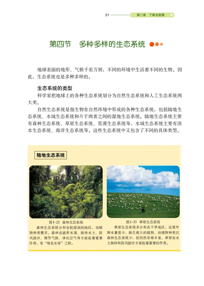 鲁教版6年级生物上册高清教材_4-教培资料-26年最新资料-同步更新_初中高中教资_03科三专项（进去保存报考的学科即可）_02科三专项（笔记真题思维导图教学设计版本二）