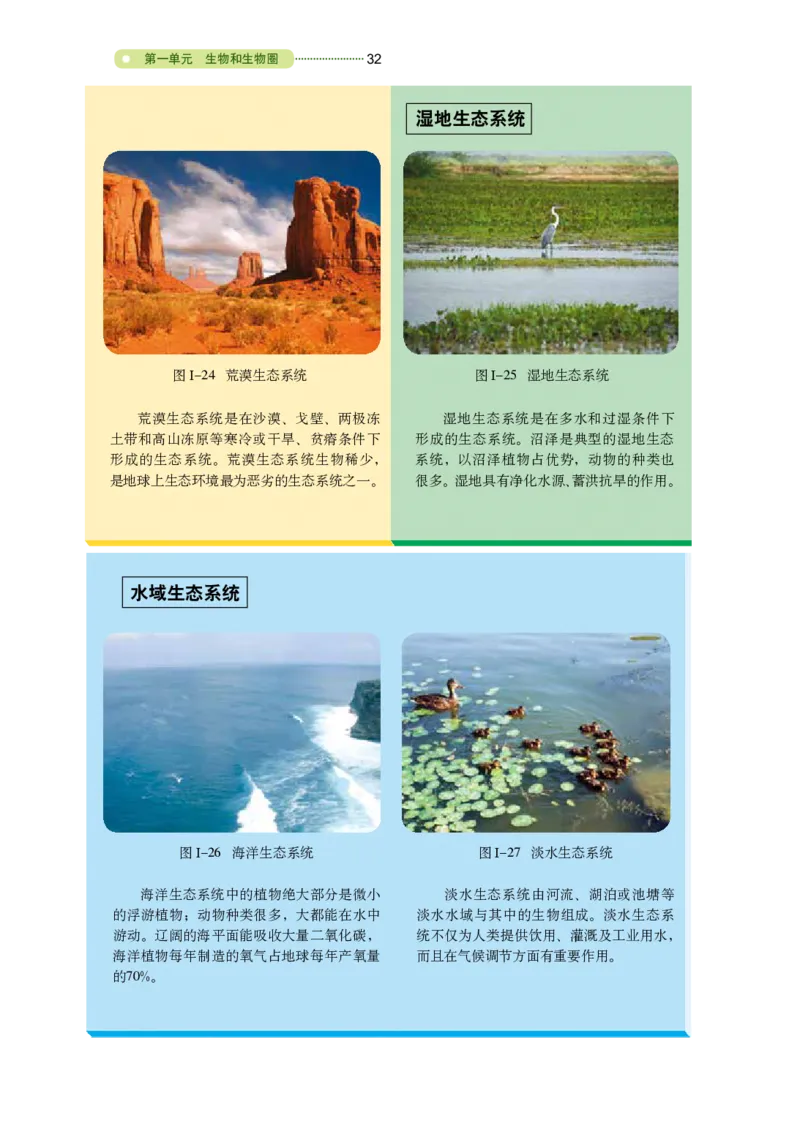 鲁教版6年级生物上册高清教材_4-教培资料-26年最新资料-同步更新_初中高中教资_03科三专项（进去保存报考的学科即可）_02科三专项（笔记真题思维导图教学设计版本二）