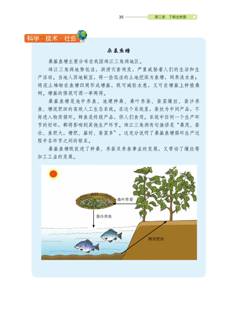 鲁教版6年级生物上册高清教材_4-教培资料-26年最新资料-同步更新_初中高中教资_03科三专项（进去保存报考的学科即可）_02科三专项（笔记真题思维导图教学设计版本二）