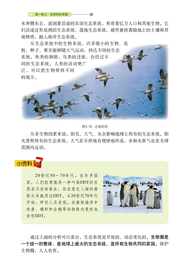 鲁教版6年级生物上册高清教材_4-教培资料-26年最新资料-同步更新_初中高中教资_03科三专项（进去保存报考的学科即可）_02科三专项（笔记真题思维导图教学设计版本二）
