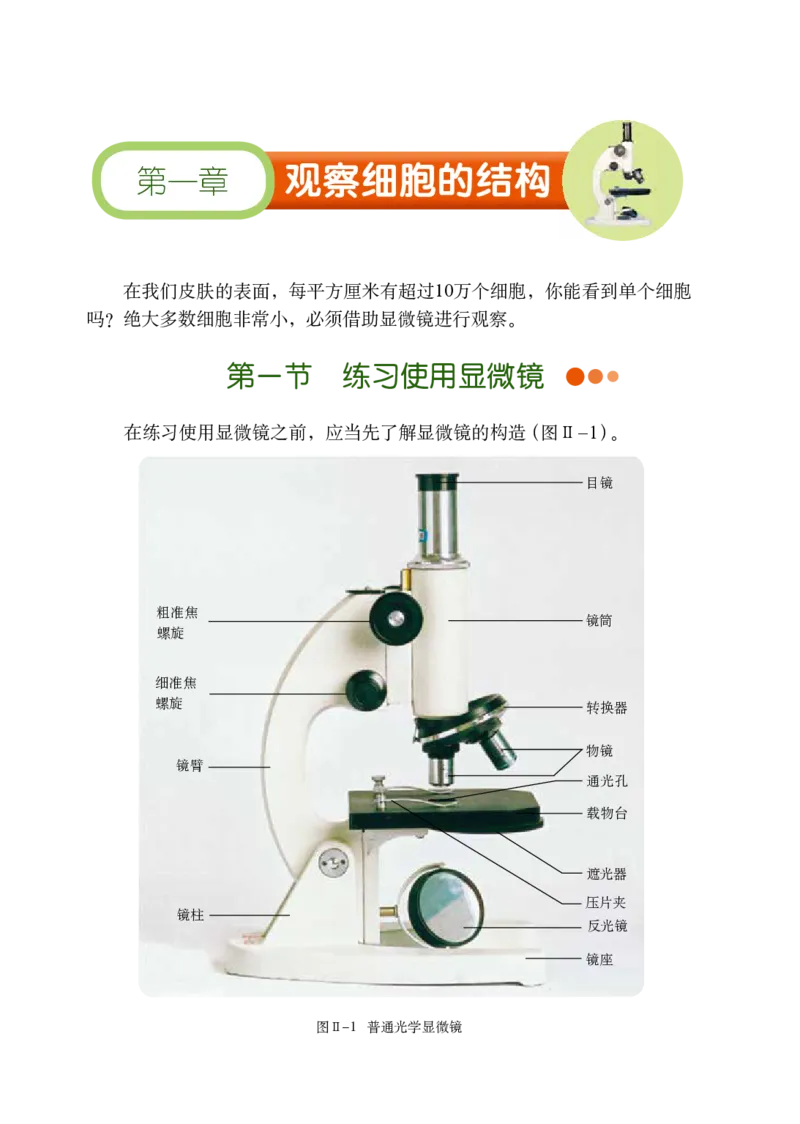 鲁教版6年级生物上册高清教材_4-教培资料-26年最新资料-同步更新_初中高中教资_03科三专项（进去保存报考的学科即可）_02科三专项（笔记真题思维导图教学设计版本二）