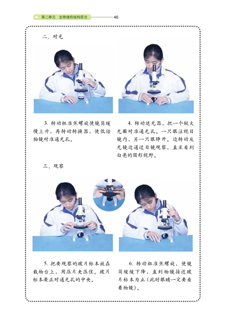 鲁教版6年级生物上册高清教材_4-教培资料-26年最新资料-同步更新_初中高中教资_03科三专项（进去保存报考的学科即可）_02科三专项（笔记真题思维导图教学设计版本二）