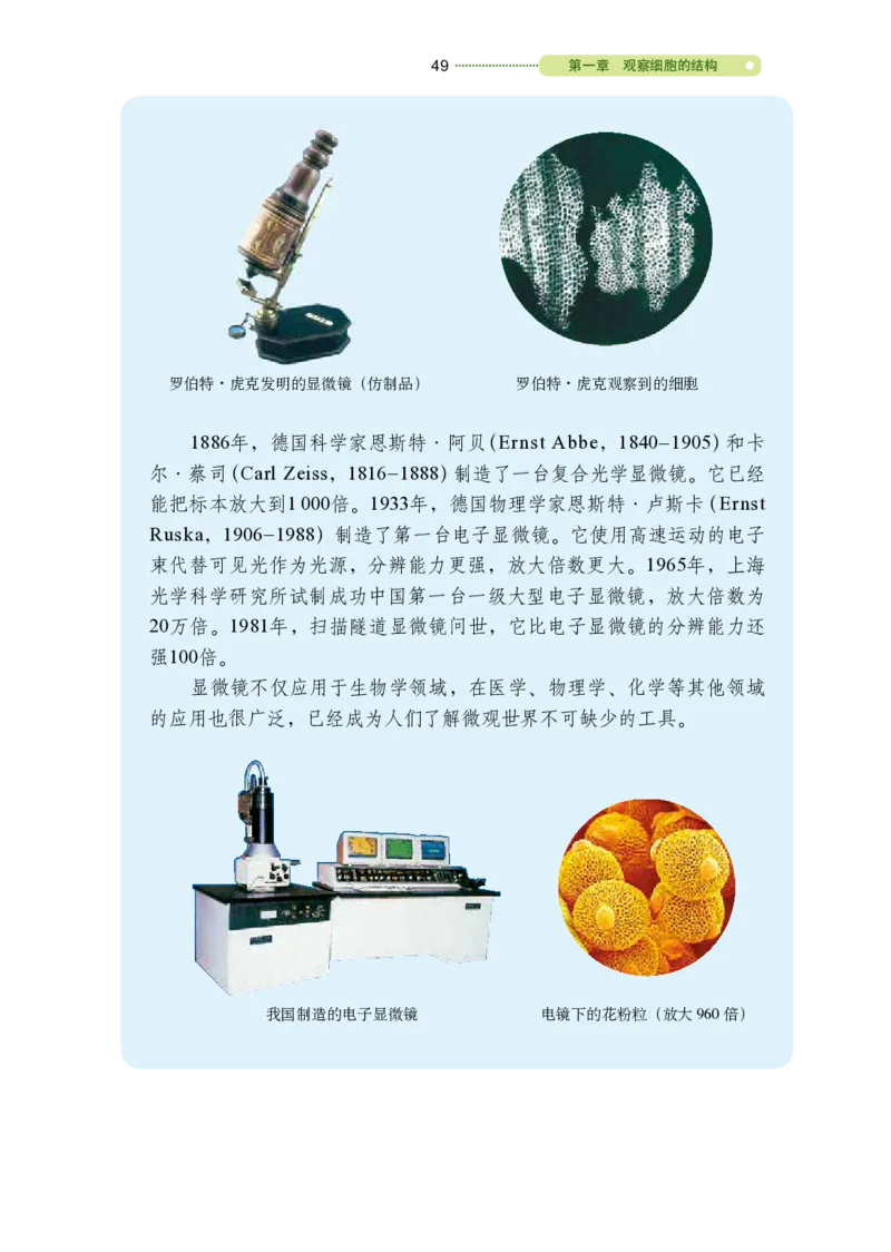 鲁教版6年级生物上册高清教材_4-教培资料-26年最新资料-同步更新_初中高中教资_03科三专项（进去保存报考的学科即可）_02科三专项（笔记真题思维导图教学设计版本二）