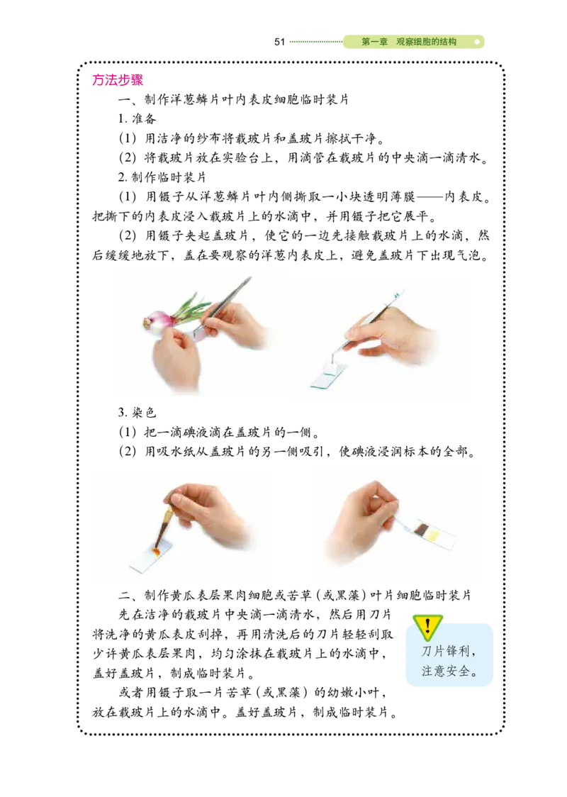 鲁教版6年级生物上册高清教材_4-教培资料-26年最新资料-同步更新_初中高中教资_03科三专项（进去保存报考的学科即可）_02科三专项（笔记真题思维导图教学设计版本二）