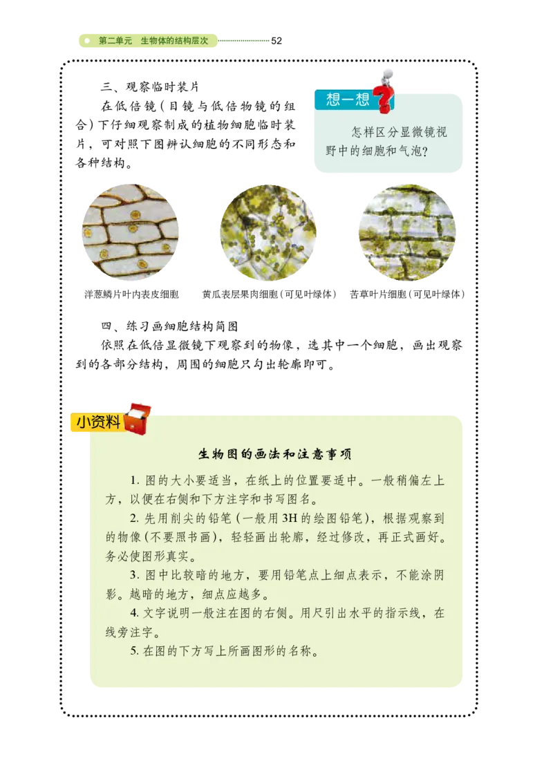 鲁教版6年级生物上册高清教材_4-教培资料-26年最新资料-同步更新_初中高中教资_03科三专项（进去保存报考的学科即可）_02科三专项（笔记真题思维导图教学设计版本二）