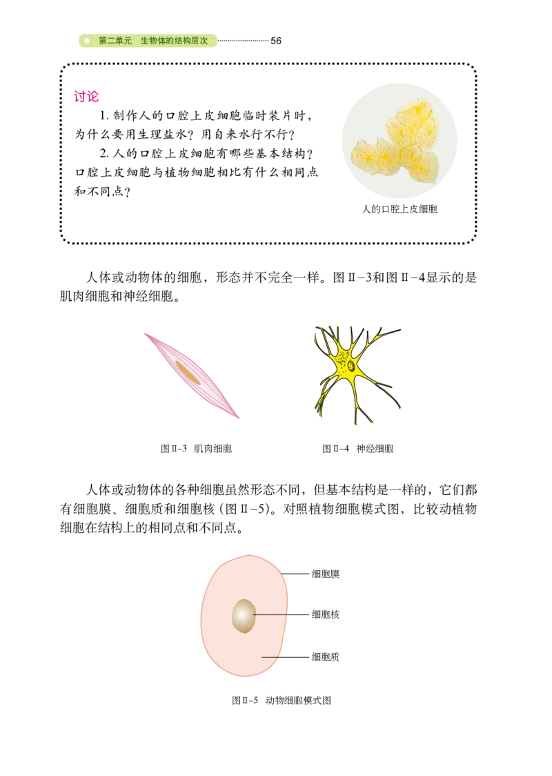 鲁教版6年级生物上册高清教材_4-教培资料-26年最新资料-同步更新_初中高中教资_03科三专项（进去保存报考的学科即可）_02科三专项（笔记真题思维导图教学设计版本二）