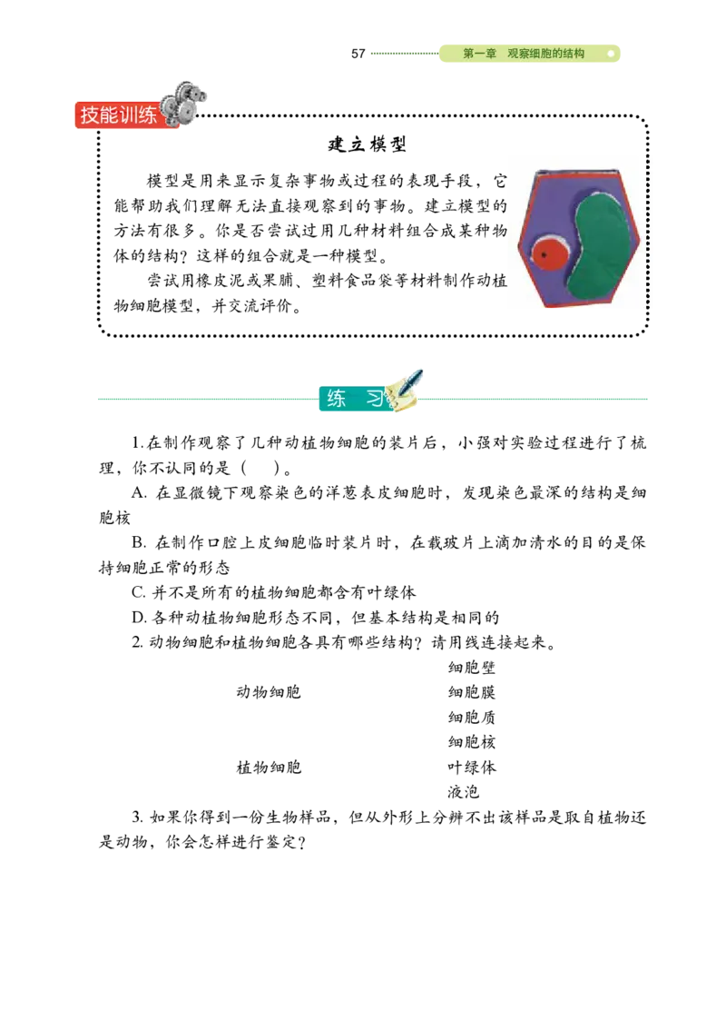 鲁教版6年级生物上册高清教材_4-教培资料-26年最新资料-同步更新_初中高中教资_03科三专项（进去保存报考的学科即可）_02科三专项（笔记真题思维导图教学设计版本二）