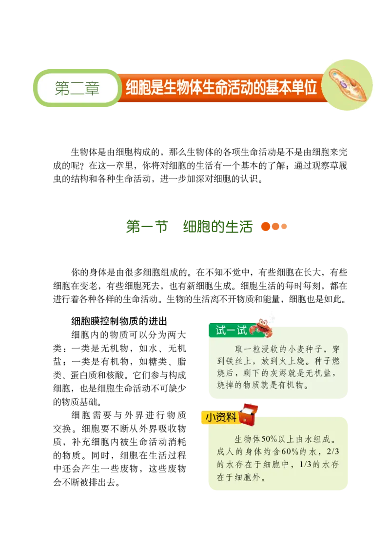 鲁教版6年级生物上册高清教材_4-教培资料-26年最新资料-同步更新_初中高中教资_03科三专项（进去保存报考的学科即可）_02科三专项（笔记真题思维导图教学设计版本二）