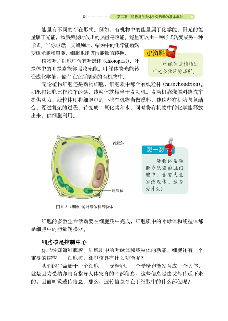 鲁教版6年级生物上册高清教材_4-教培资料-26年最新资料-同步更新_初中高中教资_03科三专项（进去保存报考的学科即可）_02科三专项（笔记真题思维导图教学设计版本二）