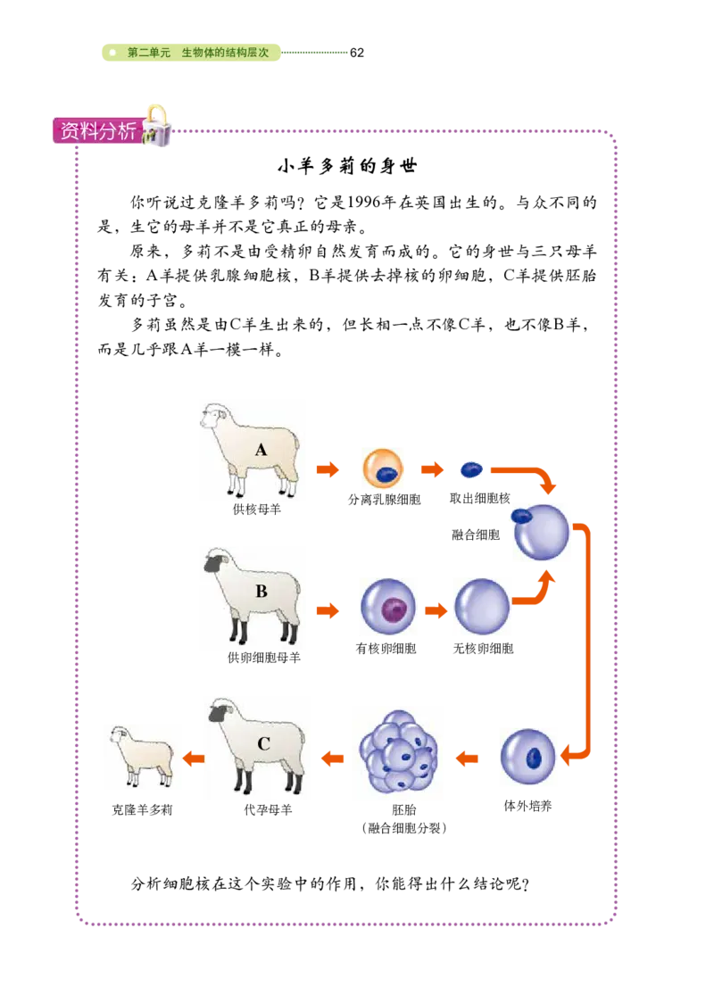 鲁教版6年级生物上册高清教材_4-教培资料-26年最新资料-同步更新_初中高中教资_03科三专项（进去保存报考的学科即可）_02科三专项（笔记真题思维导图教学设计版本二）