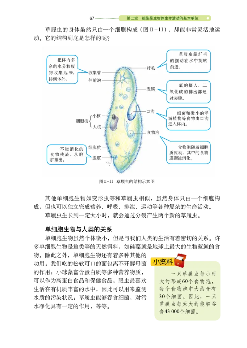 鲁教版6年级生物上册高清教材_4-教培资料-26年最新资料-同步更新_初中高中教资_03科三专项（进去保存报考的学科即可）_02科三专项（笔记真题思维导图教学设计版本二）
