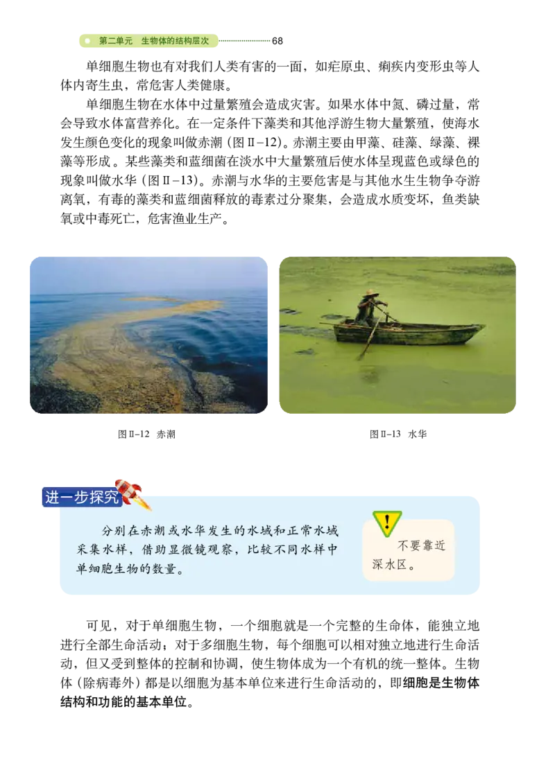 鲁教版6年级生物上册高清教材_4-教培资料-26年最新资料-同步更新_初中高中教资_03科三专项（进去保存报考的学科即可）_02科三专项（笔记真题思维导图教学设计版本二）