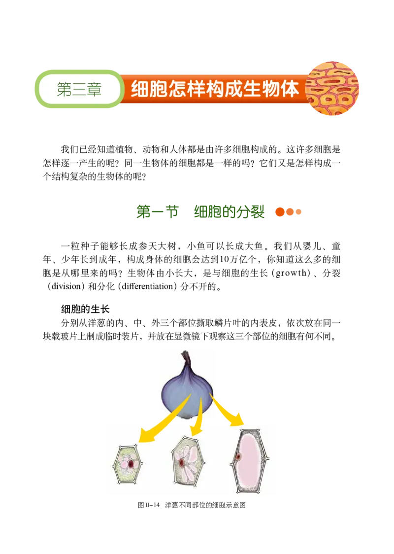 鲁教版6年级生物上册高清教材_4-教培资料-26年最新资料-同步更新_初中高中教资_03科三专项（进去保存报考的学科即可）_02科三专项（笔记真题思维导图教学设计版本二）