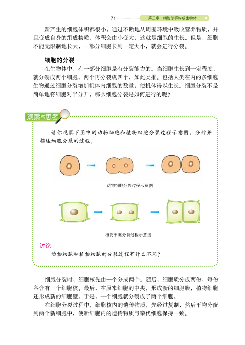 鲁教版6年级生物上册高清教材_4-教培资料-26年最新资料-同步更新_初中高中教资_03科三专项（进去保存报考的学科即可）_02科三专项（笔记真题思维导图教学设计版本二）