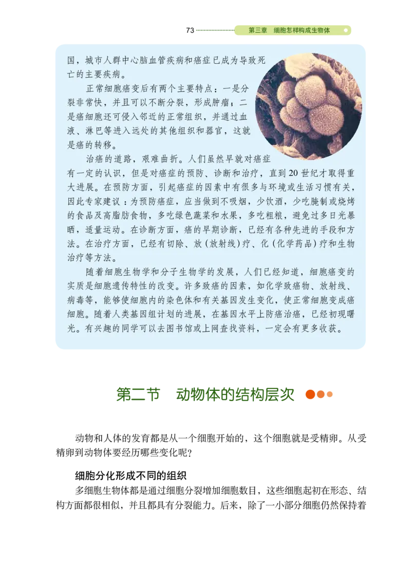 鲁教版6年级生物上册高清教材_4-教培资料-26年最新资料-同步更新_初中高中教资_03科三专项（进去保存报考的学科即可）_02科三专项（笔记真题思维导图教学设计版本二）