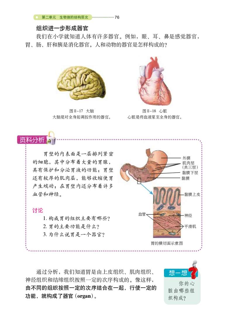 鲁教版6年级生物上册高清教材_4-教培资料-26年最新资料-同步更新_初中高中教资_03科三专项（进去保存报考的学科即可）_02科三专项（笔记真题思维导图教学设计版本二）