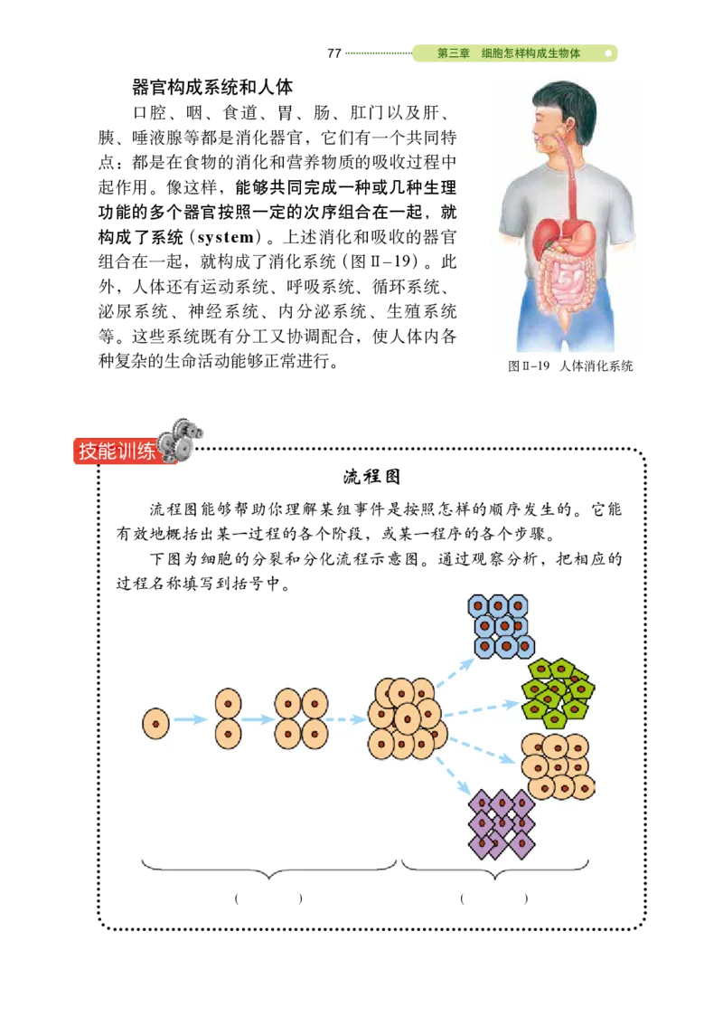 鲁教版6年级生物上册高清教材_4-教培资料-26年最新资料-同步更新_初中高中教资_03科三专项（进去保存报考的学科即可）_02科三专项（笔记真题思维导图教学设计版本二）