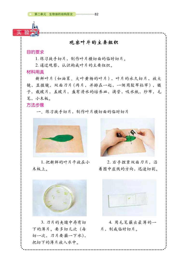 鲁教版6年级生物上册高清教材_4-教培资料-26年最新资料-同步更新_初中高中教资_03科三专项（进去保存报考的学科即可）_02科三专项（笔记真题思维导图教学设计版本二）