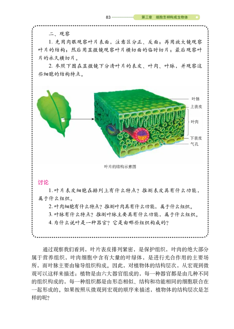 鲁教版6年级生物上册高清教材_4-教培资料-26年最新资料-同步更新_初中高中教资_03科三专项（进去保存报考的学科即可）_02科三专项（笔记真题思维导图教学设计版本二）