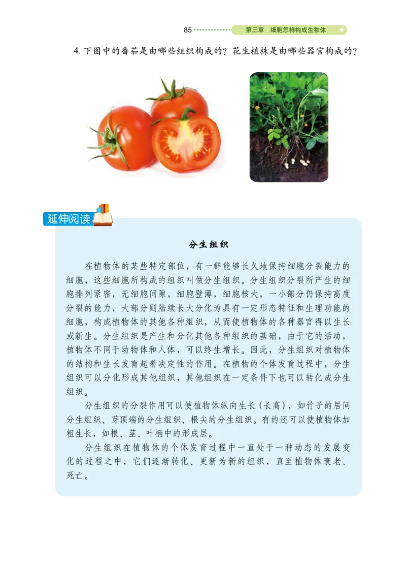 鲁教版6年级生物上册高清教材_4-教培资料-26年最新资料-同步更新_初中高中教资_03科三专项（进去保存报考的学科即可）_02科三专项（笔记真题思维导图教学设计版本二）