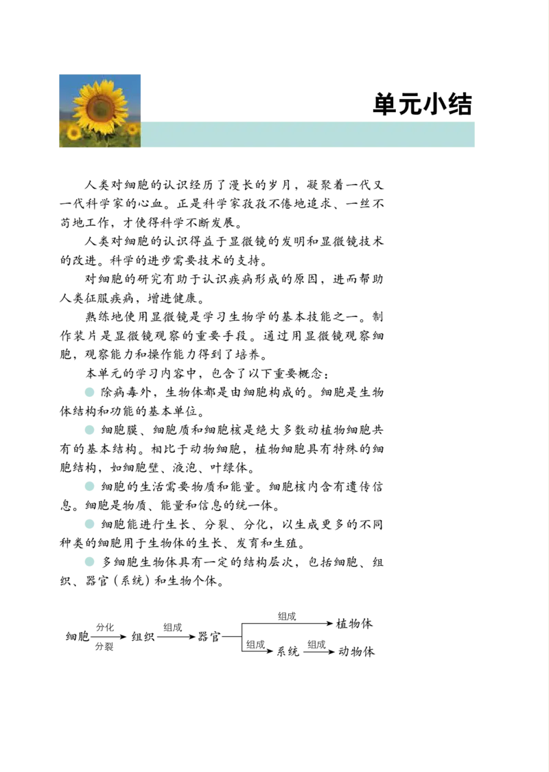 鲁教版6年级生物上册高清教材_4-教培资料-26年最新资料-同步更新_初中高中教资_03科三专项（进去保存报考的学科即可）_02科三专项（笔记真题思维导图教学设计版本二）