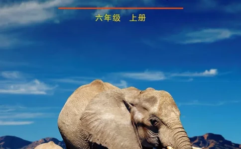 鲁教版6年级生物上册高清教材_4-教培资料-26年最新资料-同步更新_初中高中教资_03科三专项（进去保存报考的学科即可）_02科三专项（笔记真题思维导图教学设计版本二）