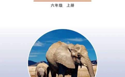 鲁教版6年级生物上册高清教材_4-教培资料-26年最新资料-同步更新_初中高中教资_03科三专项（进去保存报考的学科即可）_02科三专项（笔记真题思维导图教学设计版本二）