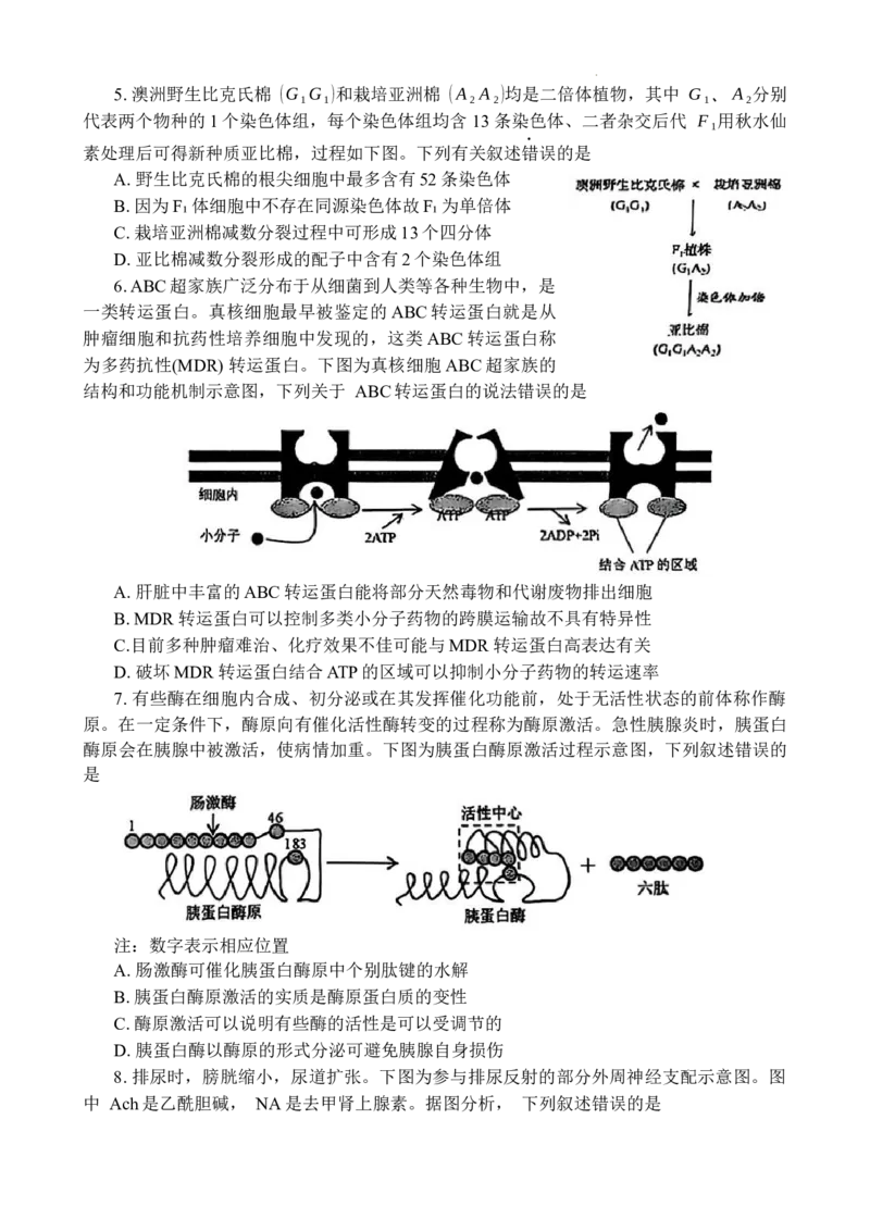 云南省红河州、文山州2025届高中毕业生第一次复习统一检测生物_2025年1月_250102云南省红河州、文山州2025届高中毕业生第一次复习统一检测