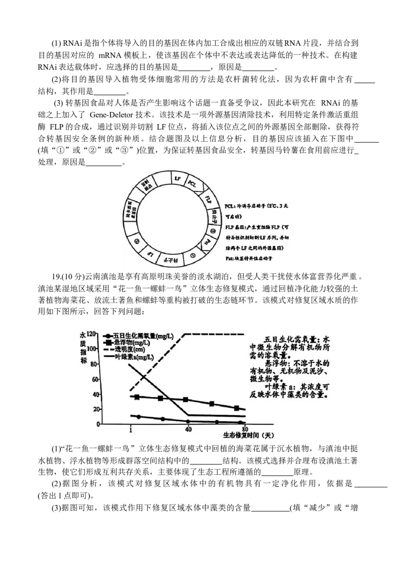 云南省红河州、文山州2025届高中毕业生第一次复习统一检测生物_2025年1月_250102云南省红河州、文山州2025届高中毕业生第一次复习统一检测