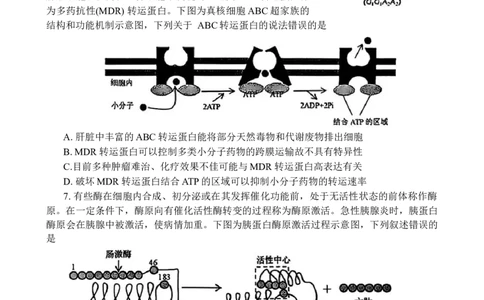 云南省红河州、文山州2025届高中毕业生第一次复习统一检测生物_2025年1月_250102云南省红河州、文山州2025届高中毕业生第一次复习统一检测