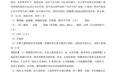 一轮一广东广西（G）生物学答案_2025年10月_2510182026届百师联盟高三上学期第一次调研考试（10月）（全科）_2026届百师联盟高三上学期第一次调研考试生物试卷（含答案）