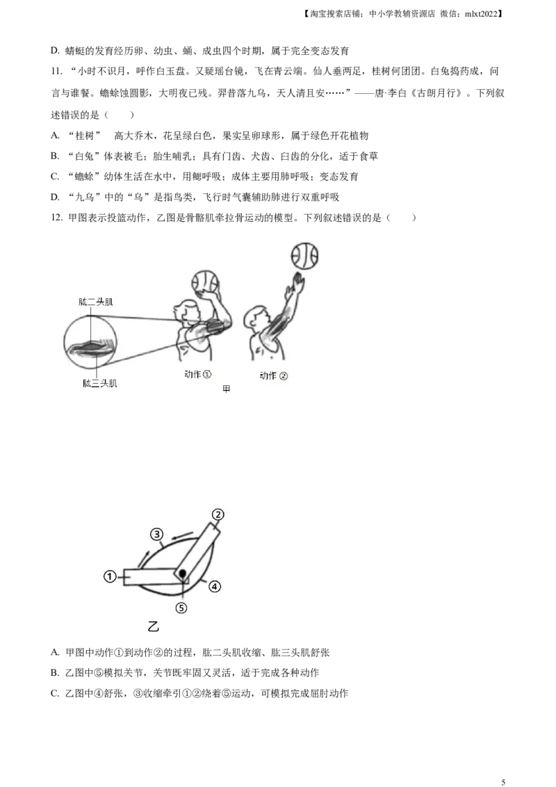 精品解析：2024年山东省泰安市中考生物真题（原卷版）_中考真题_8.生物中考真题2015-2024年_2024年中考生物真题_精品解析：2024年山东省泰安市中考生物真题