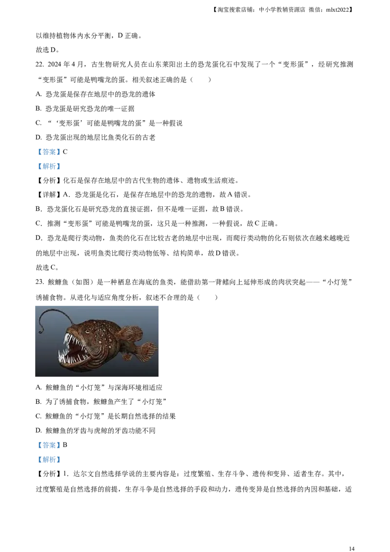 精品解析：2024年山东省烟台市中考生物试题（解析版）_中考真题_8.生物中考真题2015-2024年_2024年中考生物真题_精品解析：2024年山东省烟台市中考生物试题