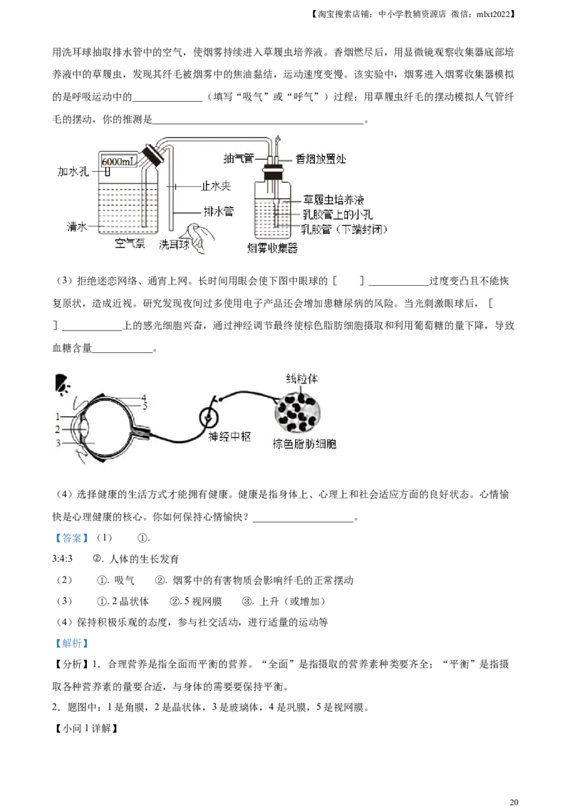 精品解析：2024年山东省烟台市中考生物试题（解析版）_中考真题_8.生物中考真题2015-2024年_2024年中考生物真题_精品解析：2024年山东省烟台市中考生物试题