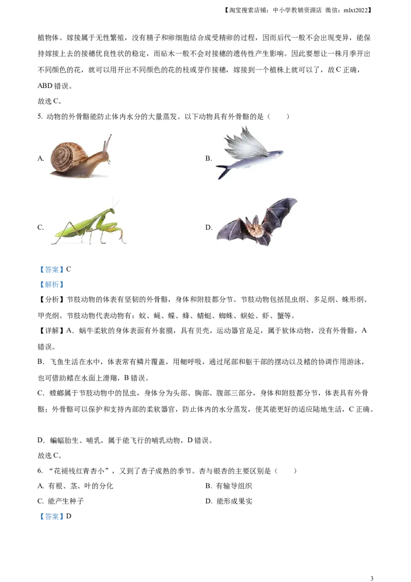 精品解析：2024年山东省烟台市中考生物试题（解析版）_中考真题_8.生物中考真题2015-2024年_2024年中考生物真题_精品解析：2024年山东省烟台市中考生物试题