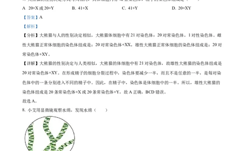 精品解析：2024年山东省烟台市中考生物试题（解析版）_中考真题_8.生物中考真题2015-2024年_2024年中考生物真题_精品解析：2024年山东省烟台市中考生物试题