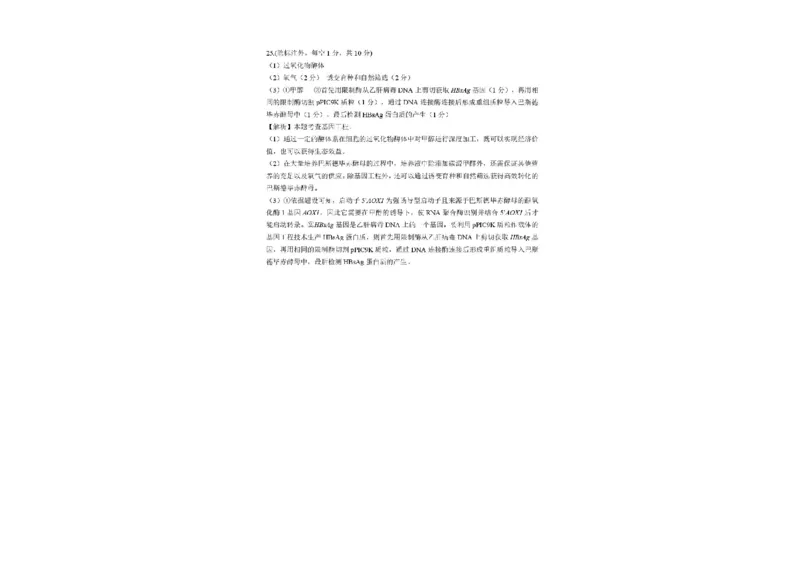 东北三省精准教学联盟2024-2025学年高三下学期3月联考生物试题+答案_2025年3月_250304东北三省精准教学联考2025届高三3月联考