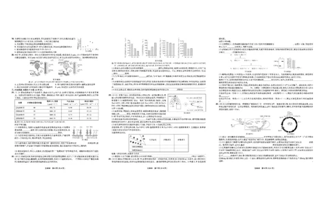 东北三省精准教学联盟2024-2025学年高三下学期3月联考生物试题+答案_2025年3月_250304东北三省精准教学联考2025届高三3月联考