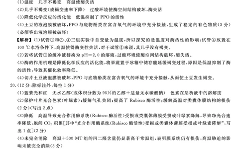 2026届高三华师联盟10月质量检测考试+生物答案_2025年10月_2510182026届高三华师联盟10月质量检测考试（全科）