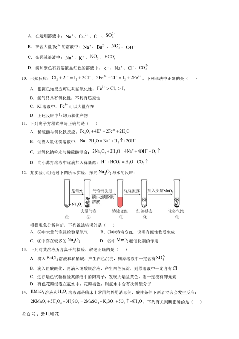 高一化学期中模拟卷新八省通用测试范围：1~2章（人教版2019必修第一册）（考试版A4）_1多考区联考试卷