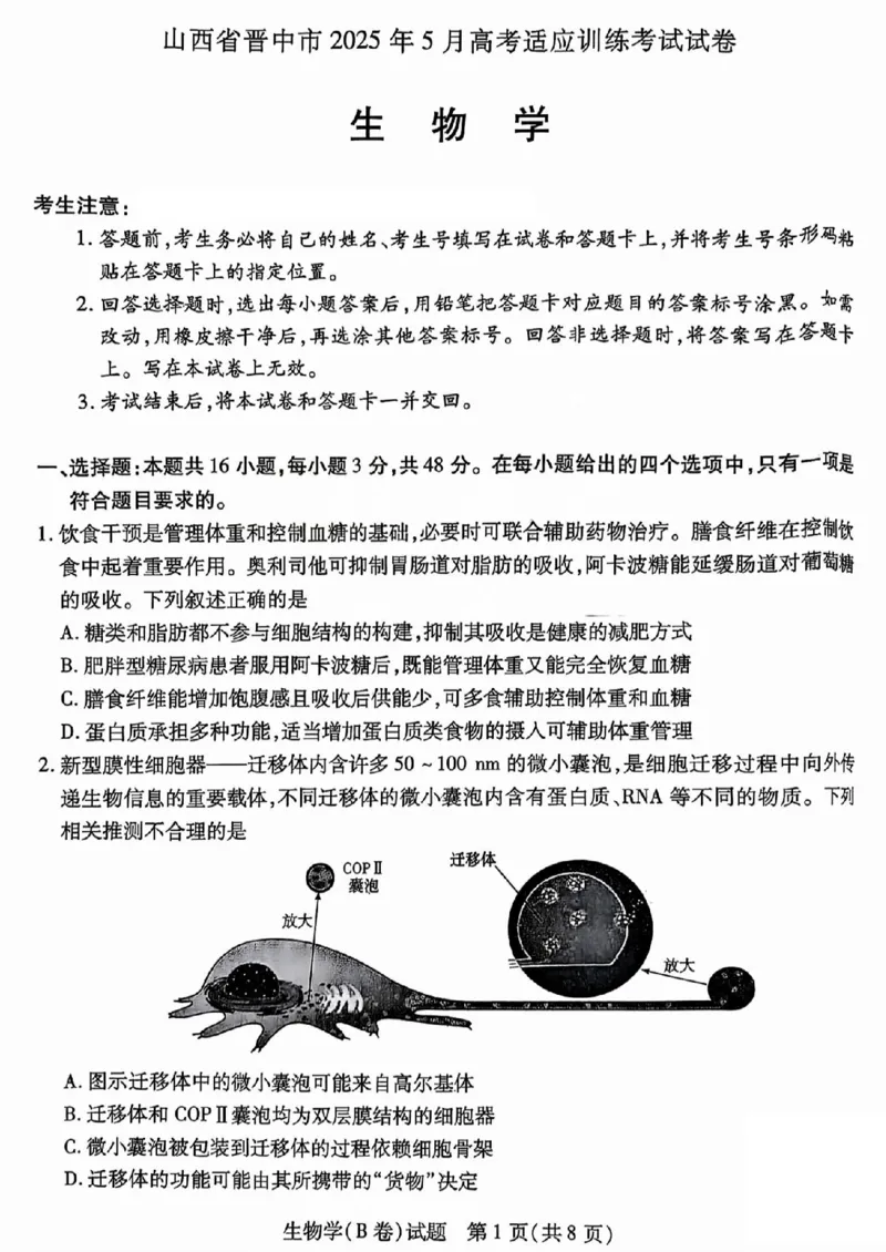 2025年5月山西省晋中市高考适应训练考试生物学试卷（PDF版，含答案）_2025年5月_250512山西省晋中市2025年5月高考适应训练考试（晋中三模）（全科）