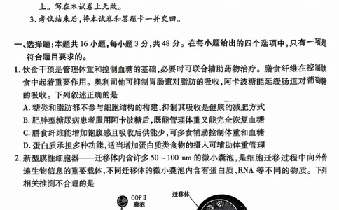 2025年5月山西省晋中市高考适应训练考试生物学试卷（PDF版，含答案）_2025年5月_250512山西省晋中市2025年5月高考适应训练考试（晋中三模）（全科）