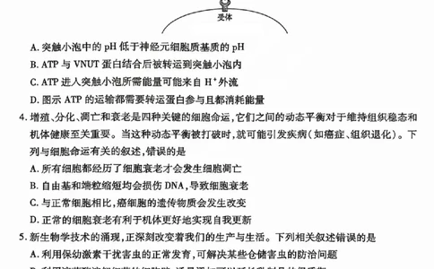 2025年5月山西省晋中市高考适应训练考试生物学试卷（PDF版，含答案）_2025年5月_250512山西省晋中市2025年5月高考适应训练考试（晋中三模）（全科）