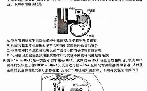 2025年5月山西省晋中市高考适应训练考试生物学试卷（PDF版，含答案）_2025年5月_250512山西省晋中市2025年5月高考适应训练考试（晋中三模）（全科）