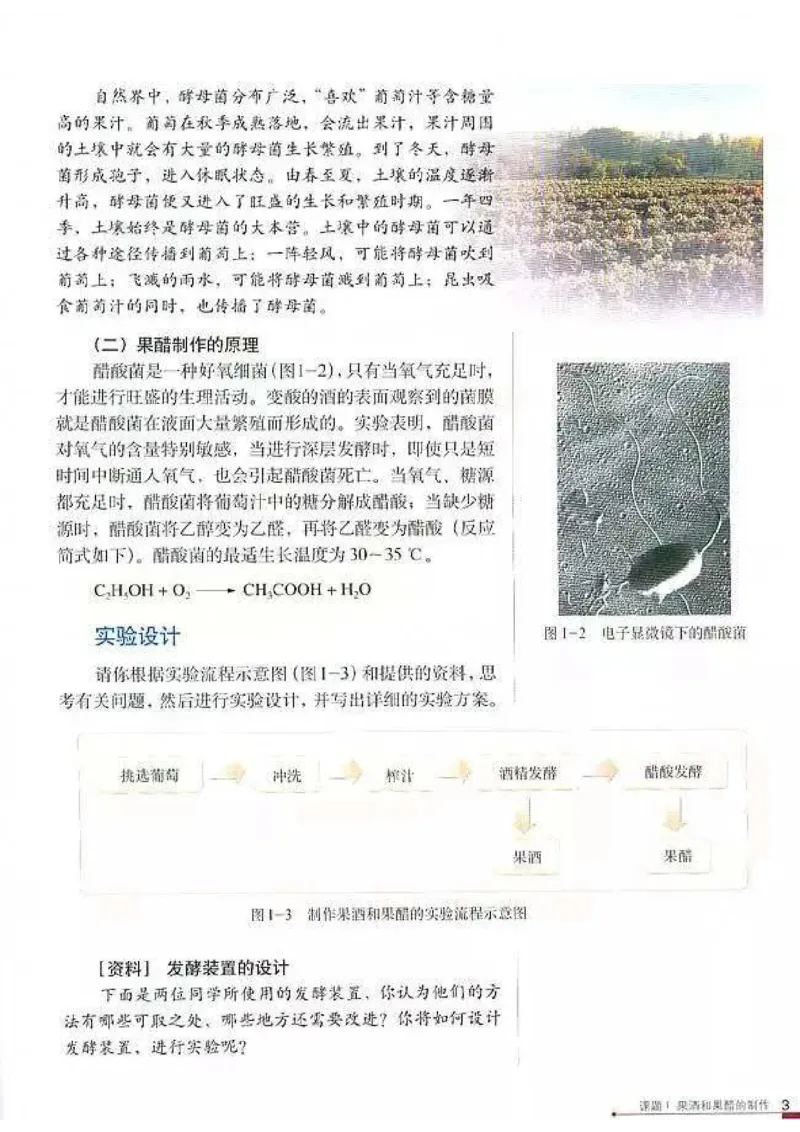 高中生物选修1生物技术实践_4-教培资料-26年最新资料-同步更新_初中高中教资_03科三专项（进去保存报考的学科即可）_02科三专项（笔记真题思维导图教学设计版本二）