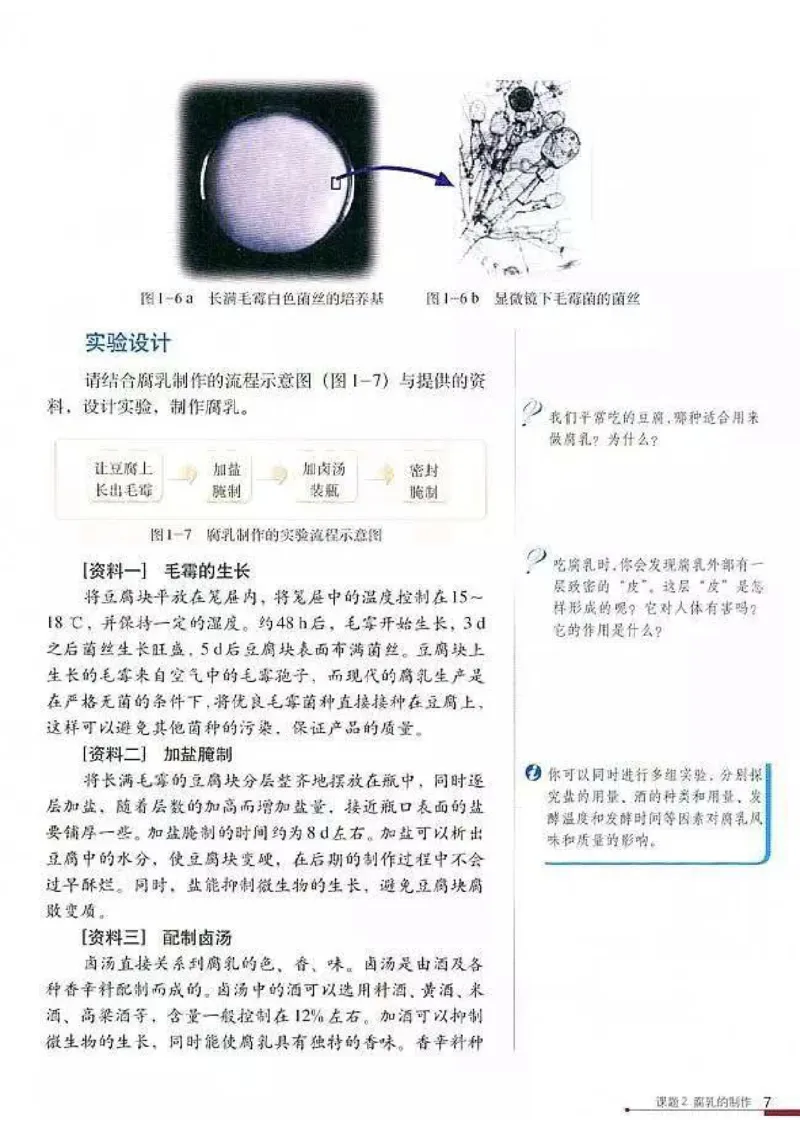高中生物选修1生物技术实践_4-教培资料-26年最新资料-同步更新_初中高中教资_03科三专项（进去保存报考的学科即可）_02科三专项（笔记真题思维导图教学设计版本二）