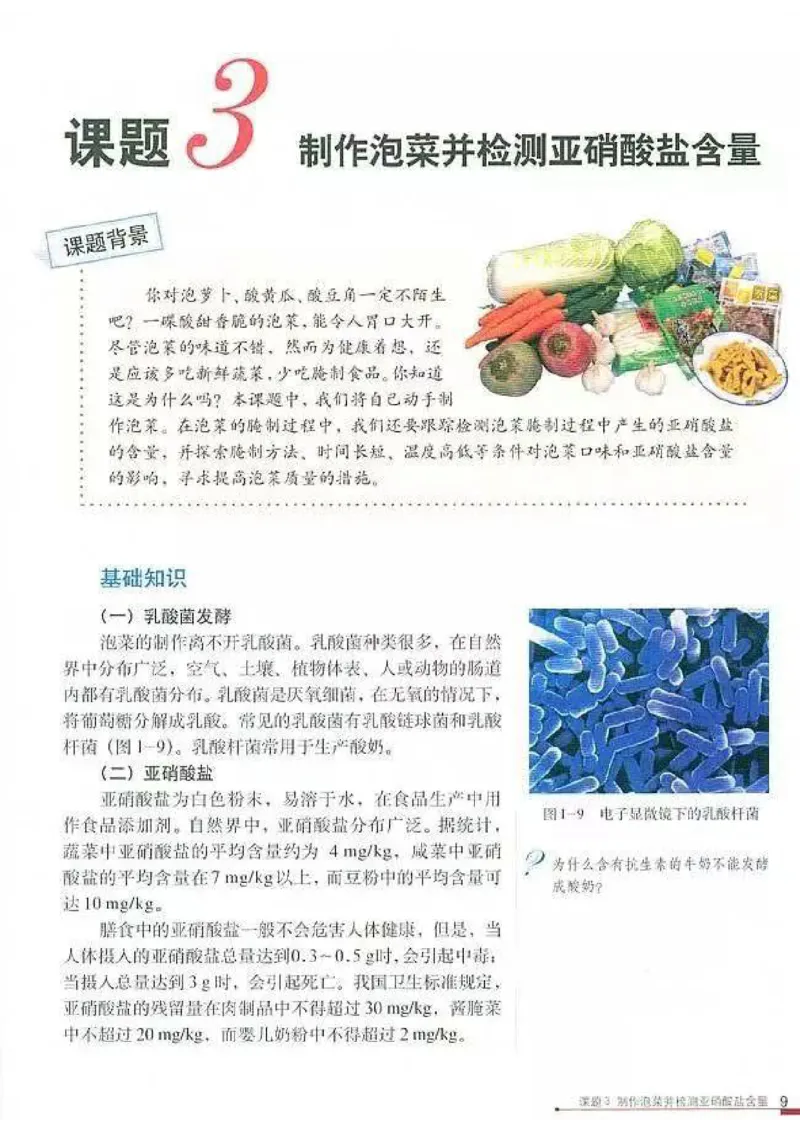 高中生物选修1生物技术实践_4-教培资料-26年最新资料-同步更新_初中高中教资_03科三专项（进去保存报考的学科即可）_02科三专项（笔记真题思维导图教学设计版本二）